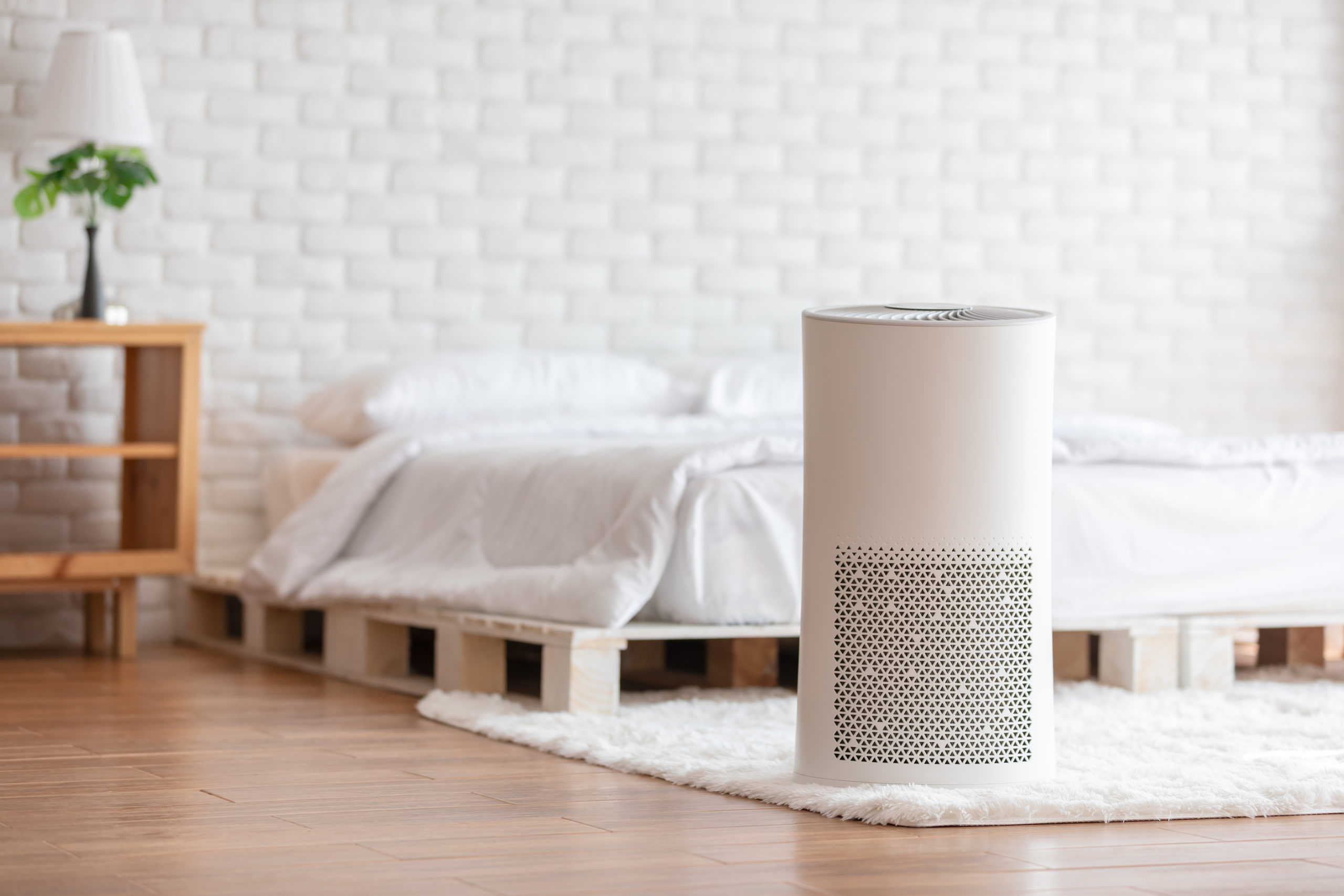 4 Top Rated Air Purifiers for Home Use