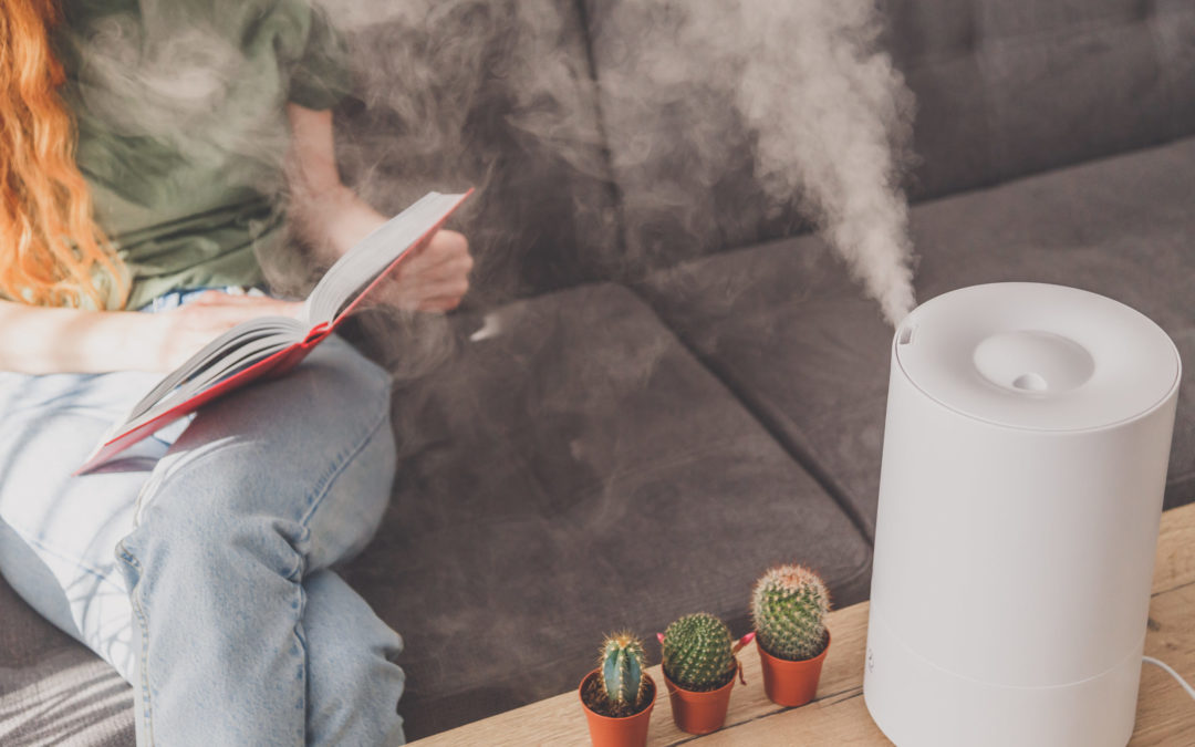 What’s the Difference Between a Humidifier and a Dehumidifier?